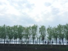 -艾溪湖湿地公园