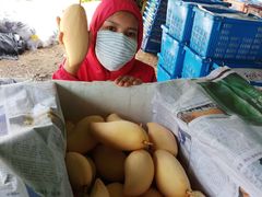 -东方鼎信农副产品交易中心