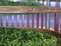 -阿巧茶庄