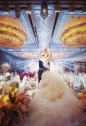 -曼格纳婚礼艺术中心(张江店)