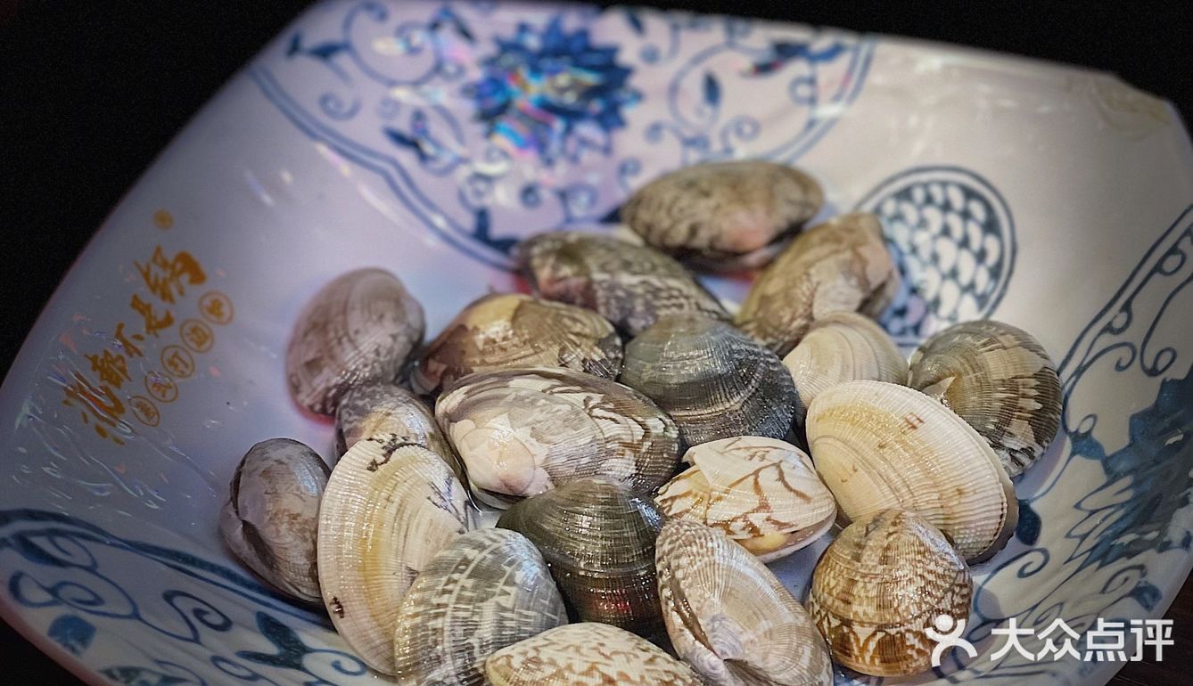 99元打边炉的快乐 ｜ 那都不是锅