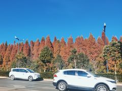 -呈贡滇池生态湿地公园