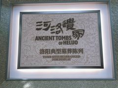 -洛阳古墓博物馆