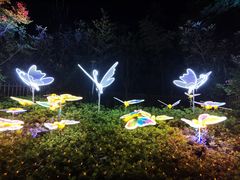 -合肥融创乐园