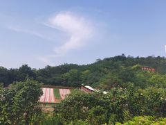 -南翠屏公园