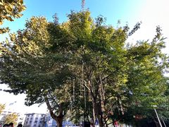 -衣裳街历史文化街区