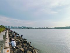 -海鸥岛