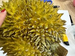 -百果园PAGODA(玄武成贤街店)