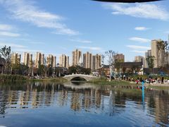 -洋湖国家湿地公园
