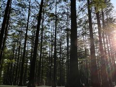 -渌洋湖湿地公园