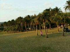 android_upload_pic-鹅銮鼻公园