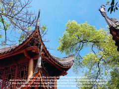 -涂山寺素食餐厅
