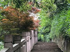 -杭州半山国家森林公园