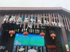 -青藏高原野生动物园