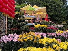 -西湖公园(鼓楼区)