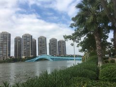 -五缘湾湿地公园