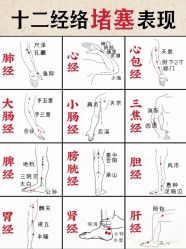 -玛莲朵·海菲秀冰珀科