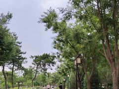 -西海子公园