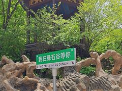 -本溪汤沟绿石谷森林公园