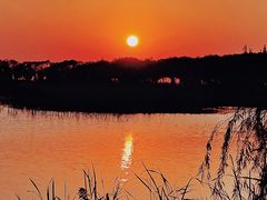 -野鸭湖国家湿地公园