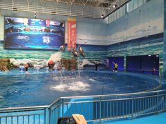 -多彩贵州城极地海洋世界