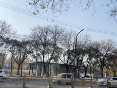 -咸阳湖景区-古渡公园