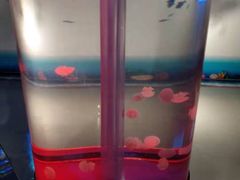 -龙岗区科技馆