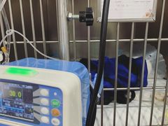 -宠爱国际动物医院·疑难骨科·心肾内科·皮肤科(太阳宫店)