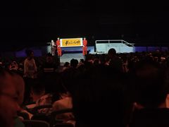 -《驼铃传奇》秀