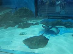 -苏州海洋馆