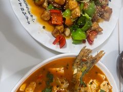 -煲来饱去冷水鱼