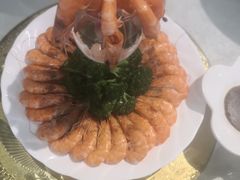 -邵年鸽(杨庄店)