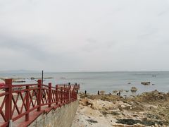 -养马岛旅游度假区