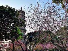 -船政文化景区-罗星塔公园