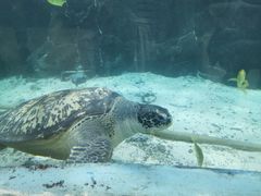 -苏州海洋馆