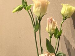 -沿途四季·云南菜·诗酒茶(蓝色港湾店)