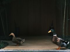 -阳朔糖舍酒店·糖舍餐厅&酒吧