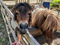 -水上乐园·欢乐世界