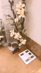 点击看大图 -贝黎诗SPA