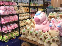 -凯德MALL(望京店)