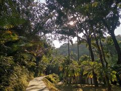 -净行天厨(莲塘总店)