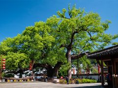 -新安江山水画廊风景区