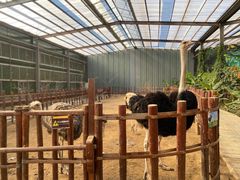-呀路古热带植物园