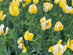 -北京植物园-展览温室