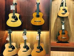 -知音艺术教育培训·钢琴培训·音乐培训(河西金鹰世界校区)