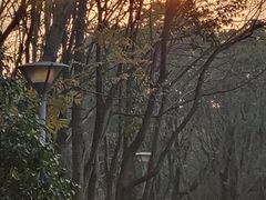 -长广溪湿地公园