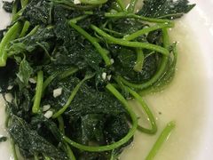 蒜蓉炒青菜-红月湾海鲜饭店•沙滩海景(双月湾店)