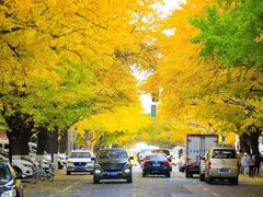 -辽东学院(南校区)