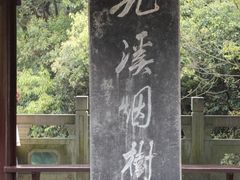 -九溪烟树
