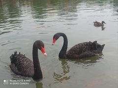 -中国农业博物馆